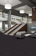 TRAVERSE-54748-GRAPHITE-00500-room-image